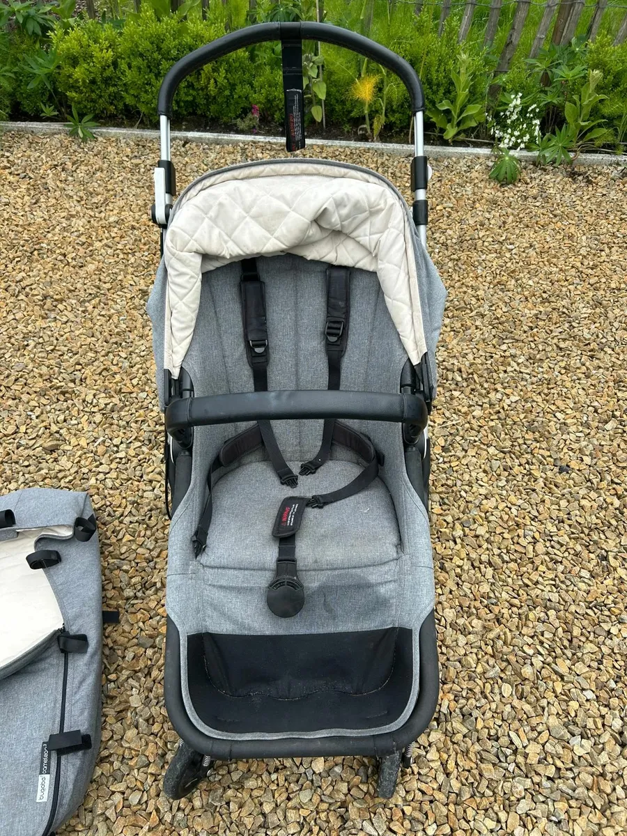 Bugaboo - Image 1
