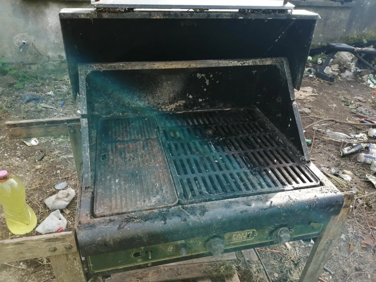 gas BBQ - Image 2