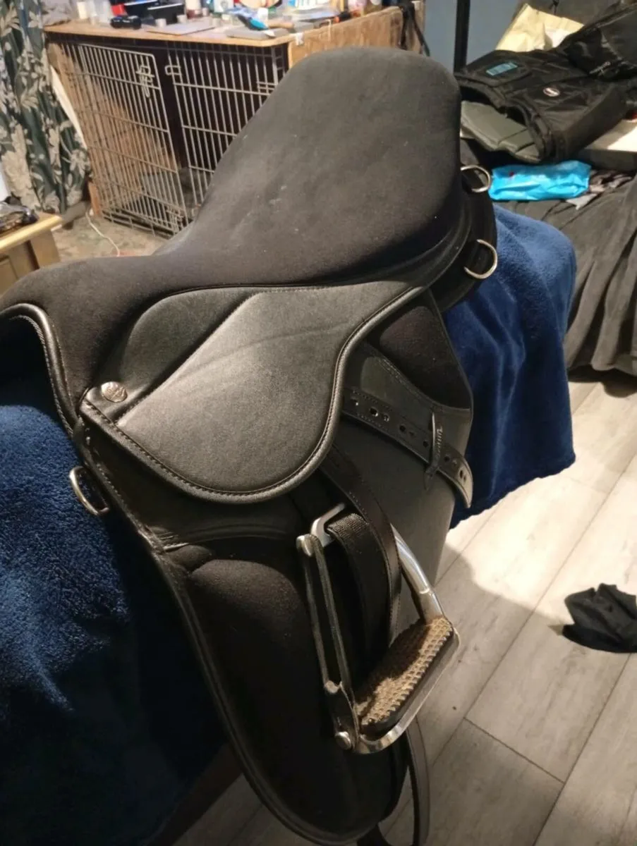 Horse equipment - Image 1