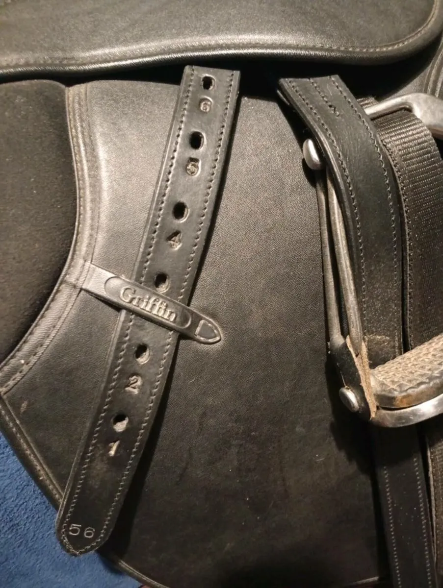 Horse equipment - Image 2