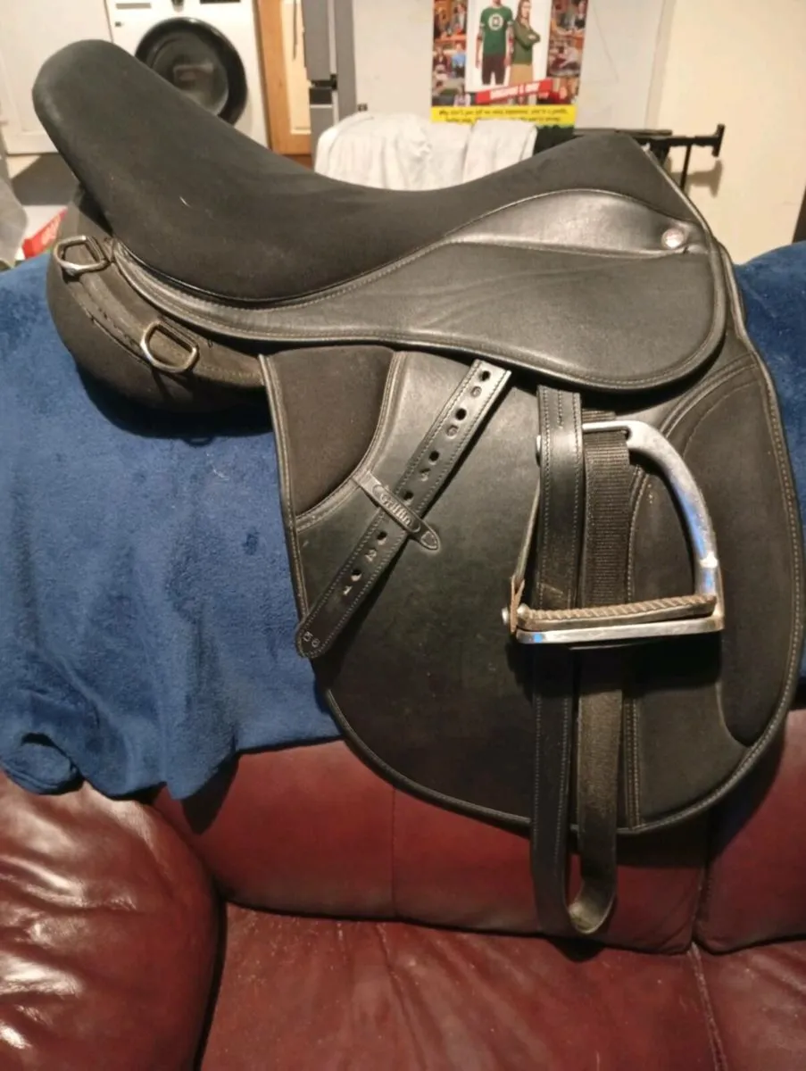 Horse equipment - Image 3