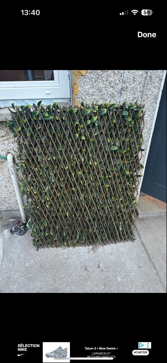 Leaf wall - Image 3