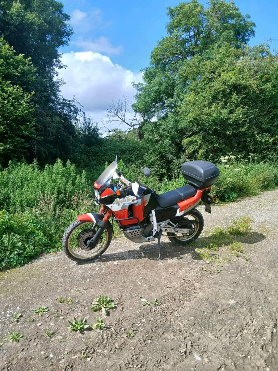 Africa twin - Image 4