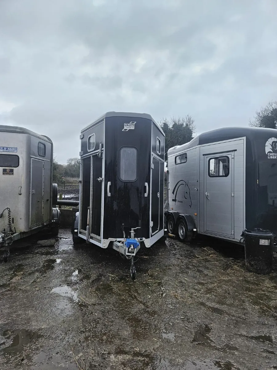 Ifor Williams Horse Box Mk 2 HB511 - Image 4