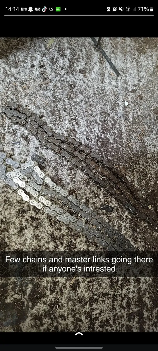 Engine bike chain