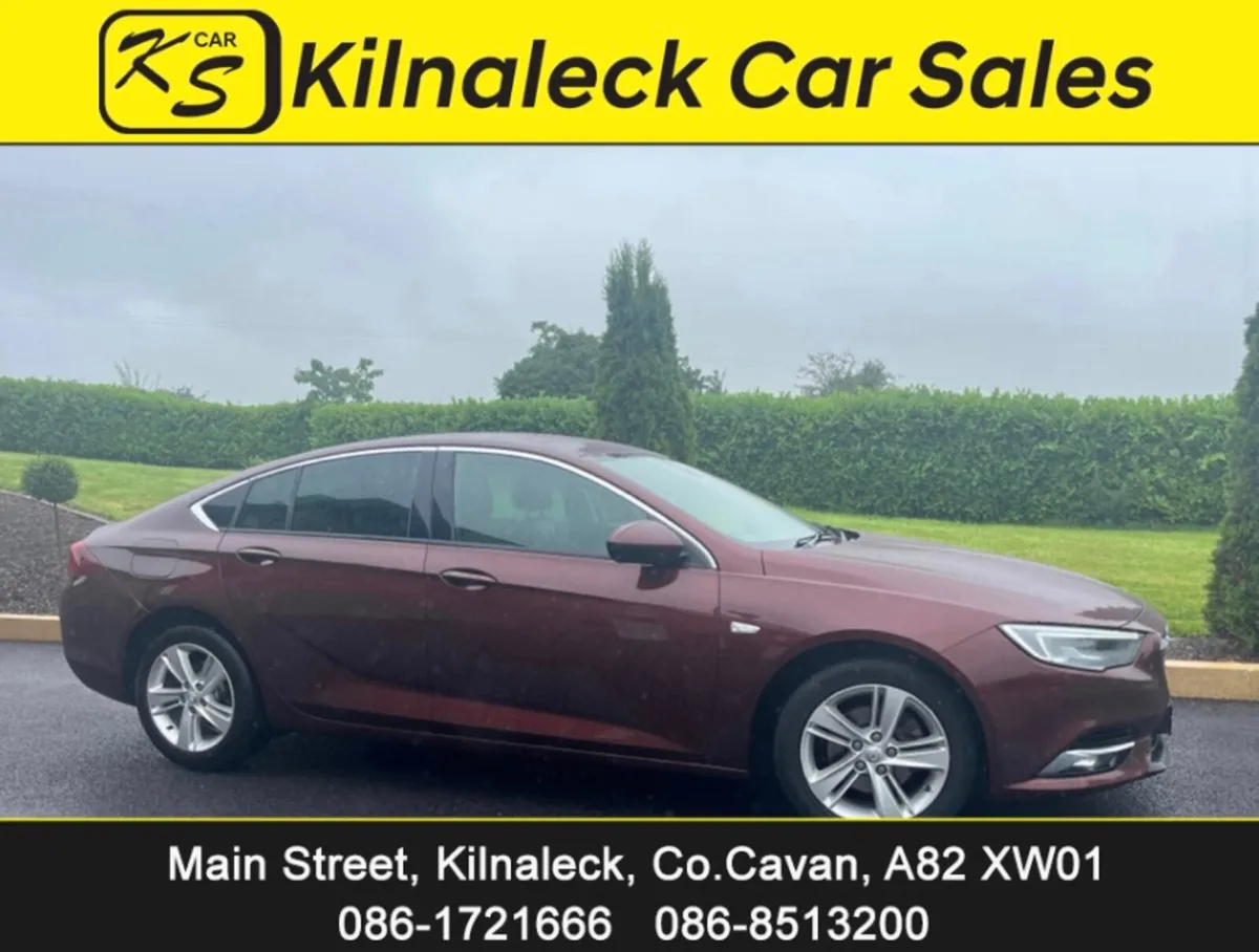 Opel Insignia 2019 - Image 1