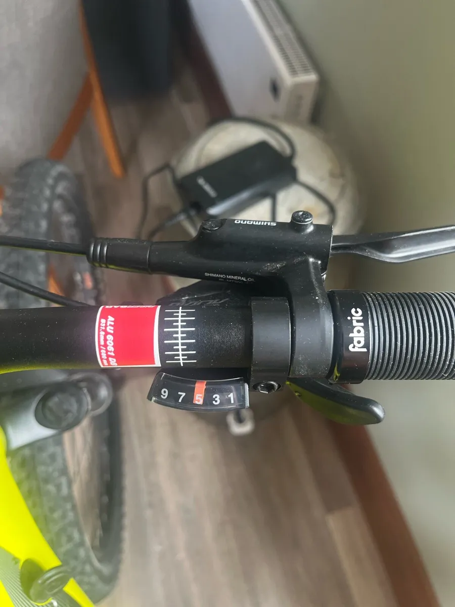Electric mountain bike - Image 4