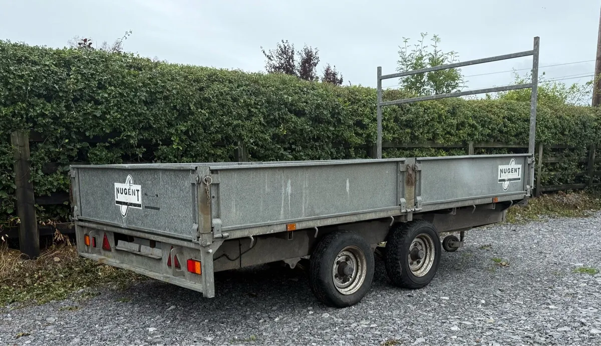 12x6 Nugent Trailor with Ladder rack. - Image 4