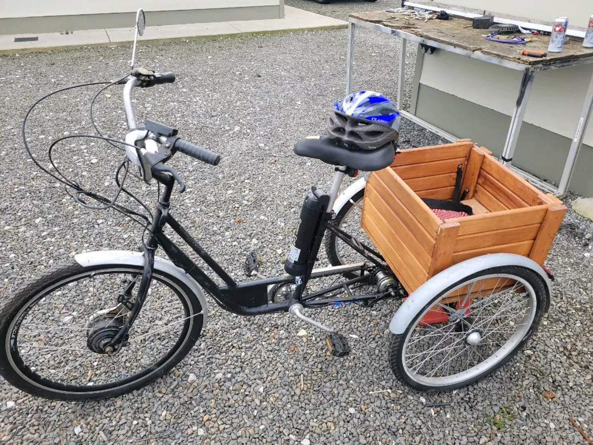 E trike - Image 1