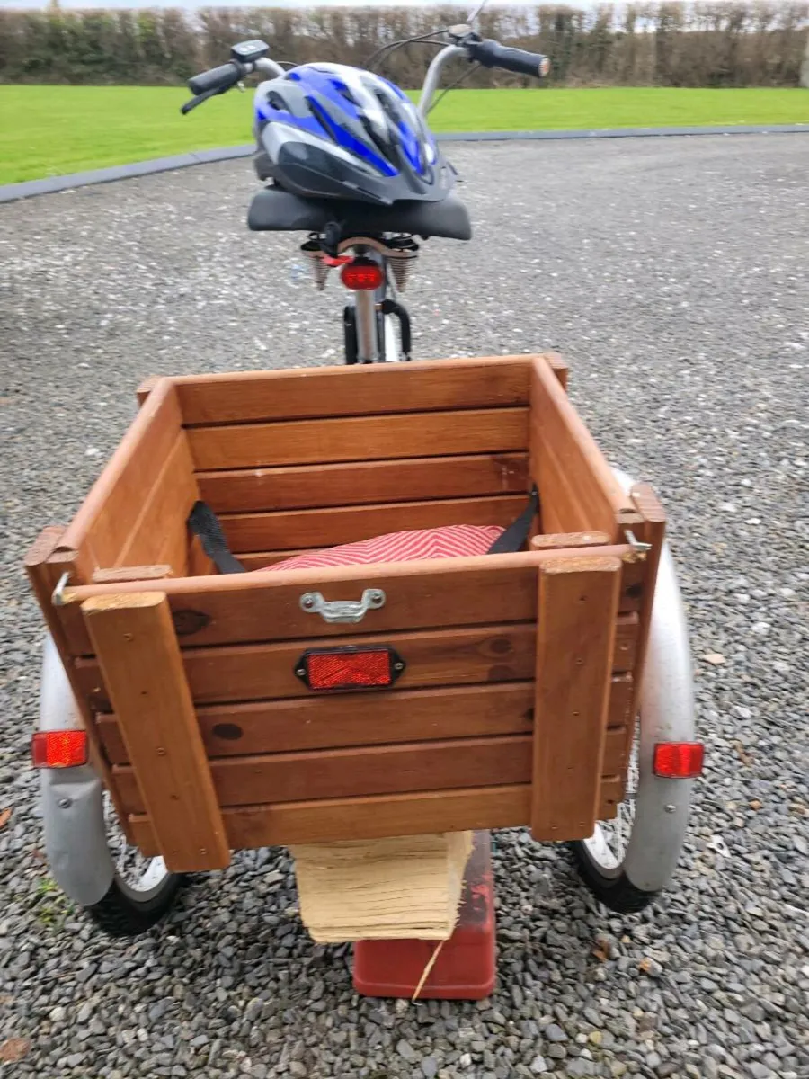 E trike - Image 2