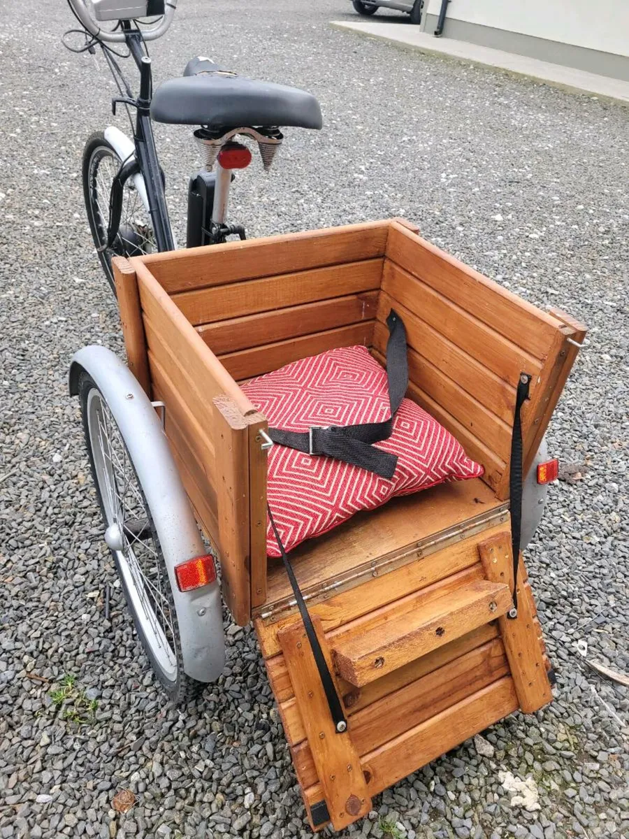 E trike - Image 3