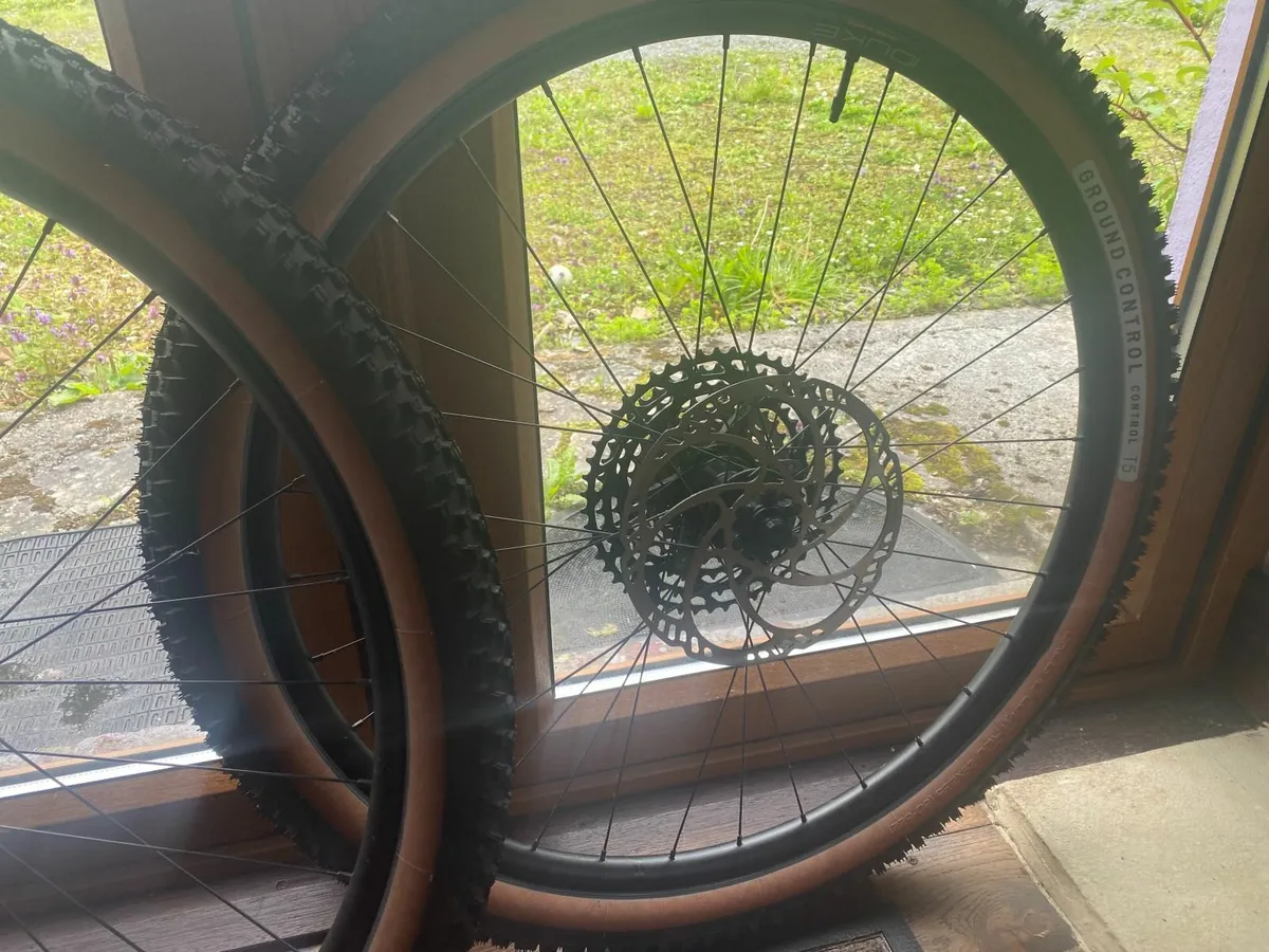 MTB Wheels - Duke Crazy 29' alu C/W Son Dynamo - Image 2