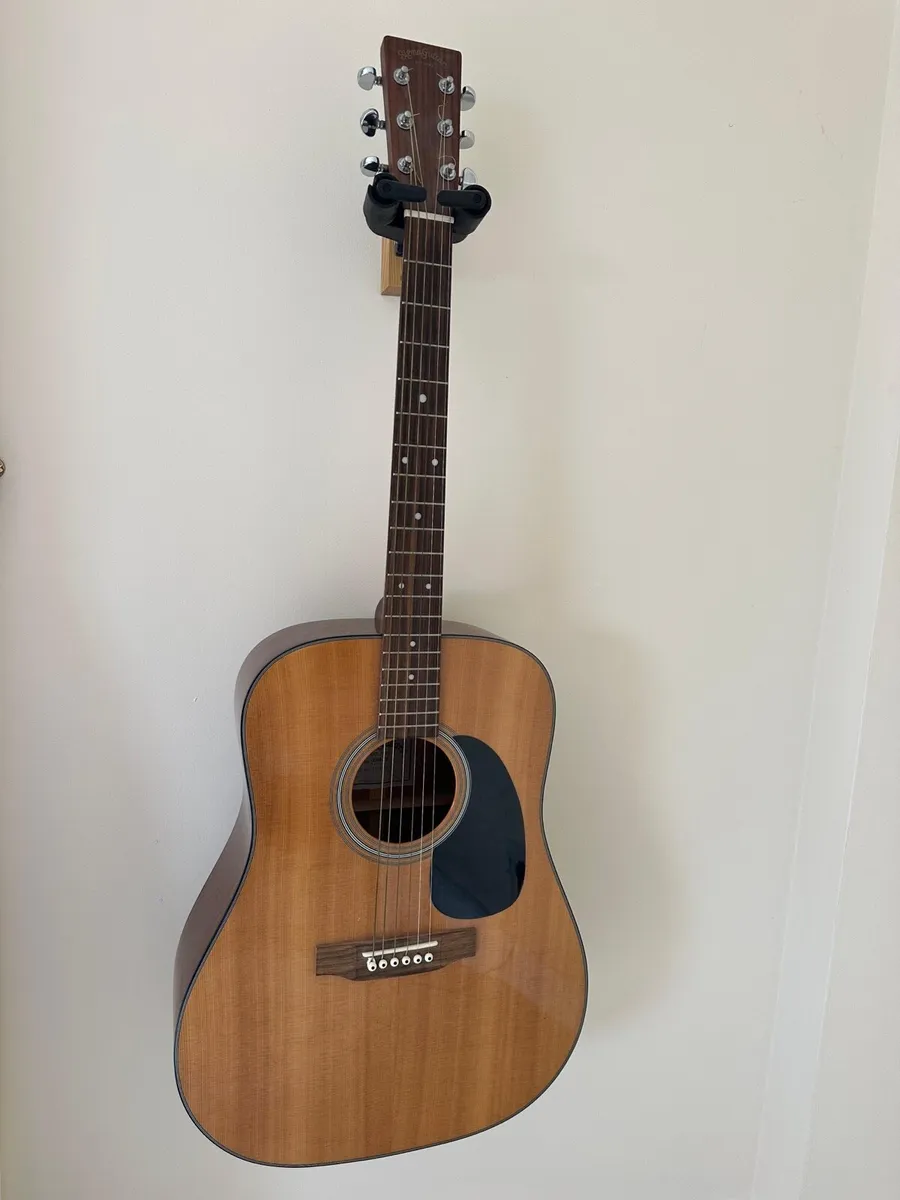 Sigma DM-18 Acoustic Guitar With Soft Case - Image 1