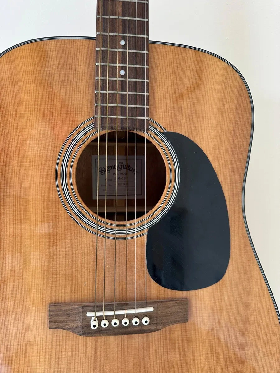Sigma DM-18 Acoustic Guitar With Soft Case - Image 4
