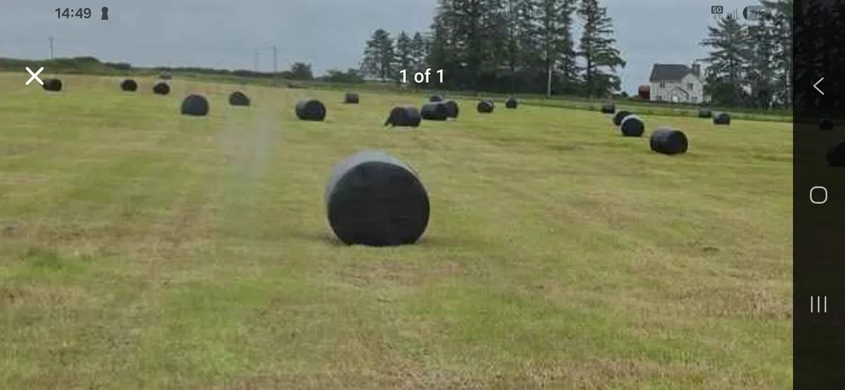 Organic silage