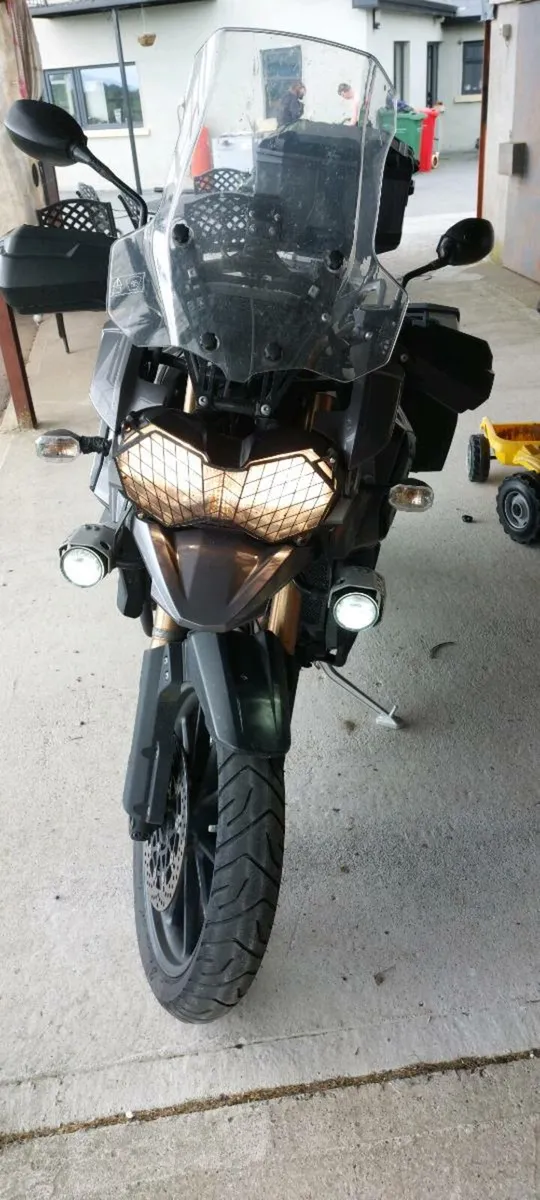 Tiger Triumph - Image 1