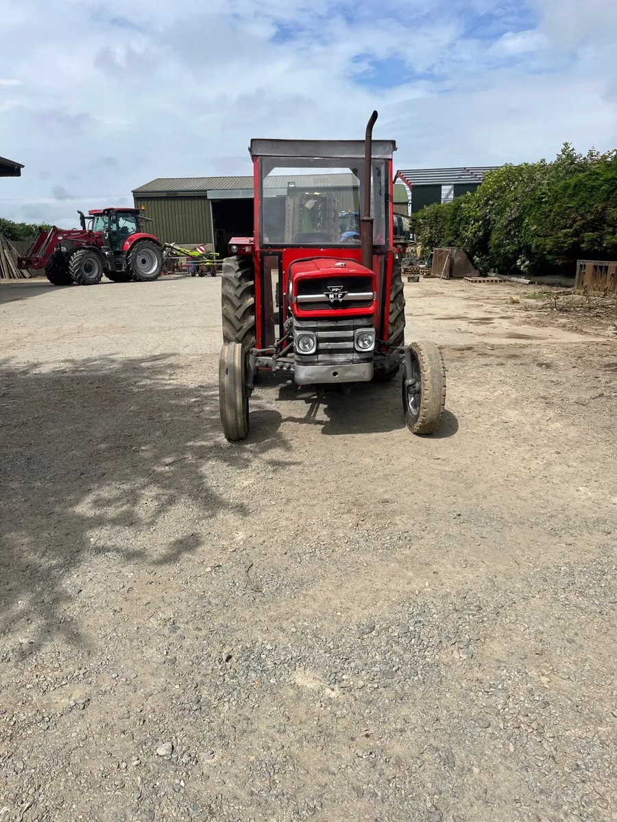 Massey Ferguson 135 - Image 3