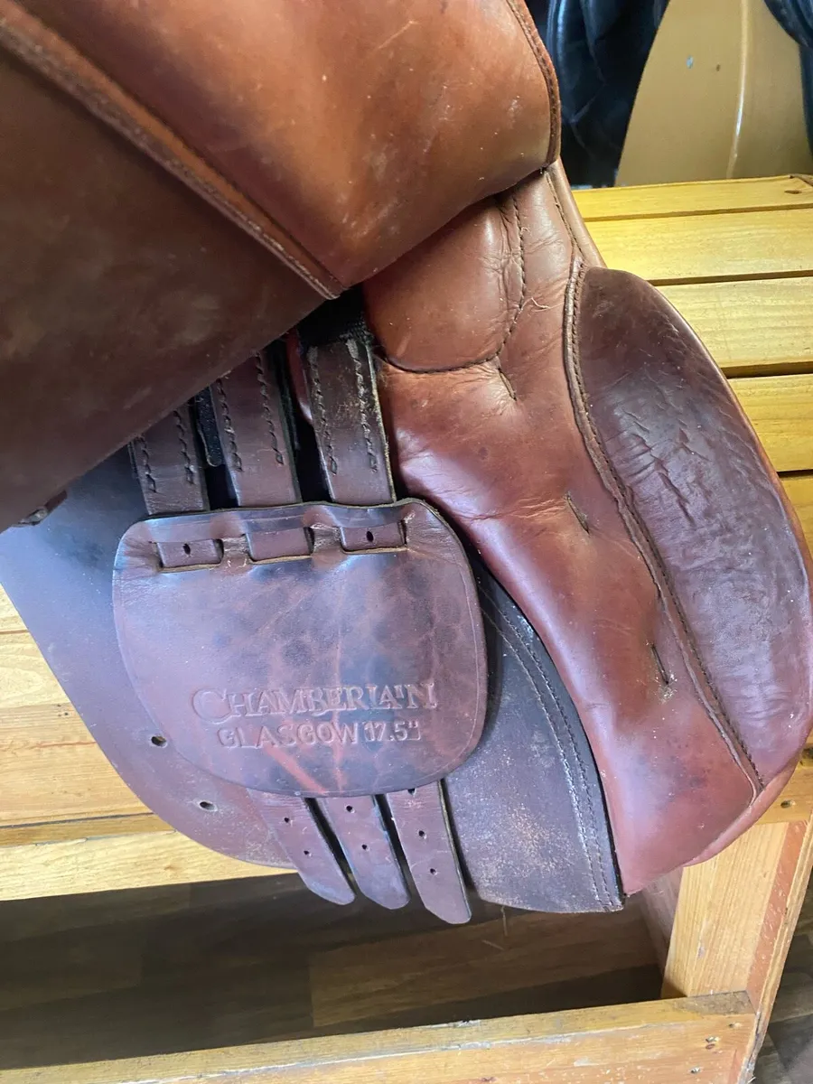 17.5 Chamberlain Leather saddle - Image 3