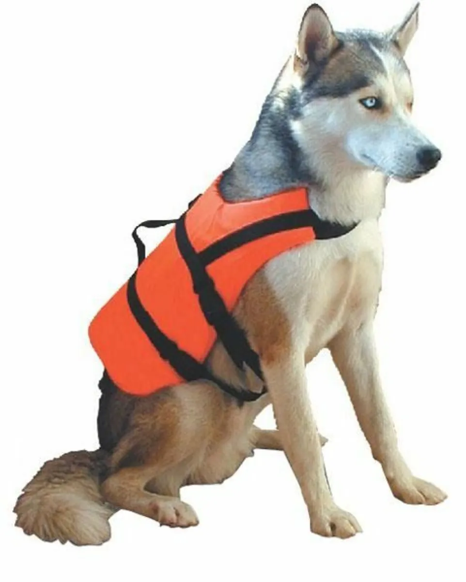New buoyancy aid & harness, all sizes - Image 1