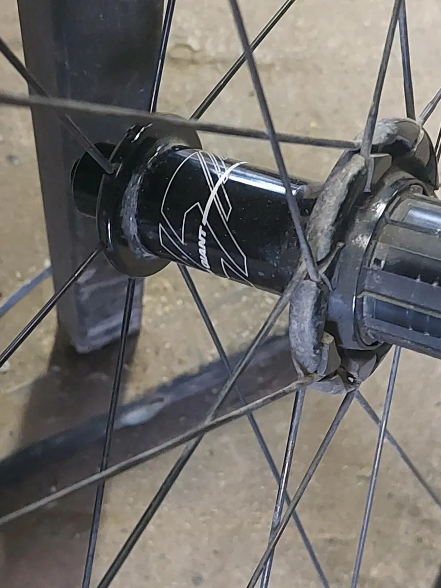 Giant SLR hubs - Image 4