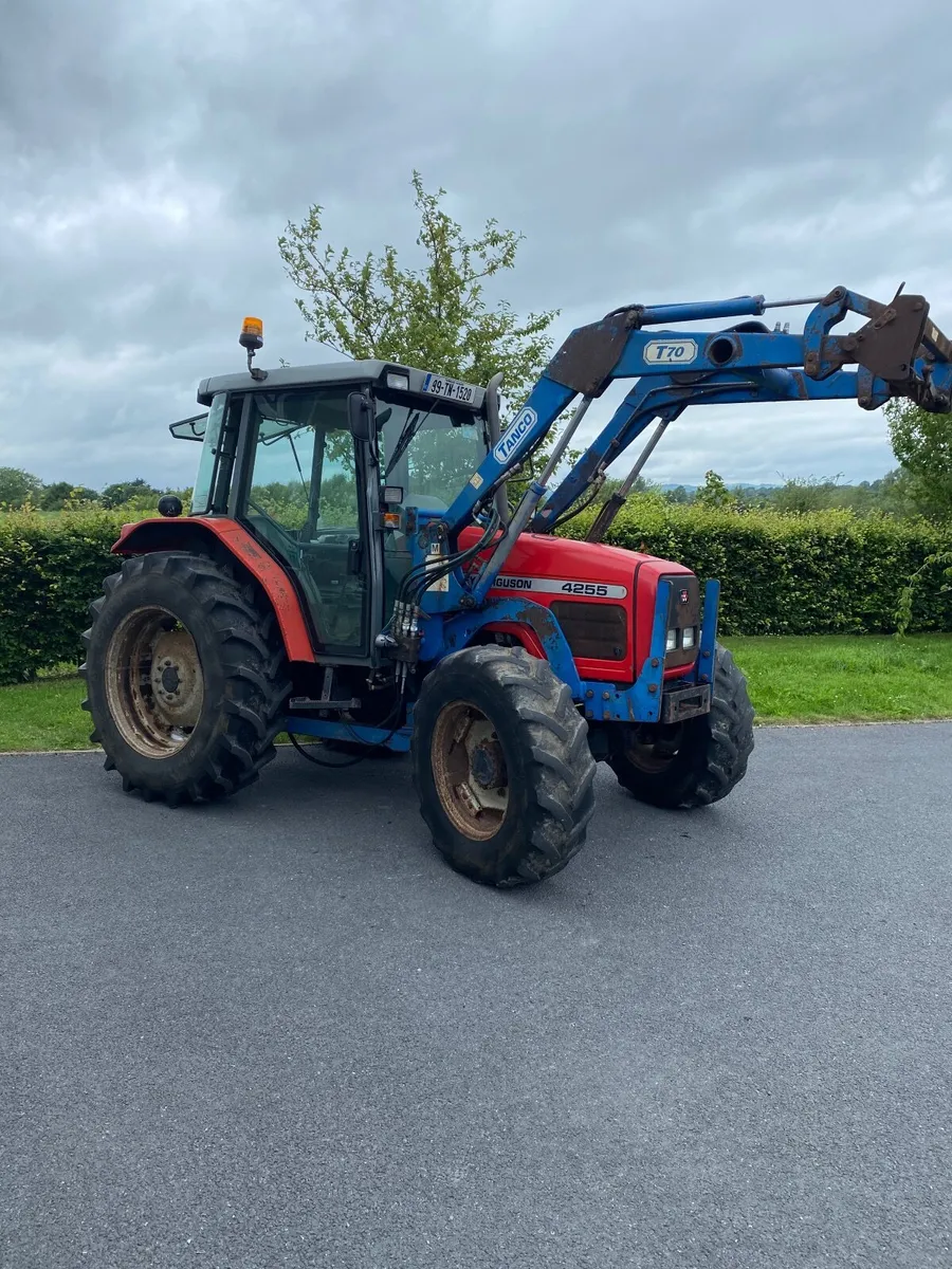 Massey Ferguson 4255 - Image 1