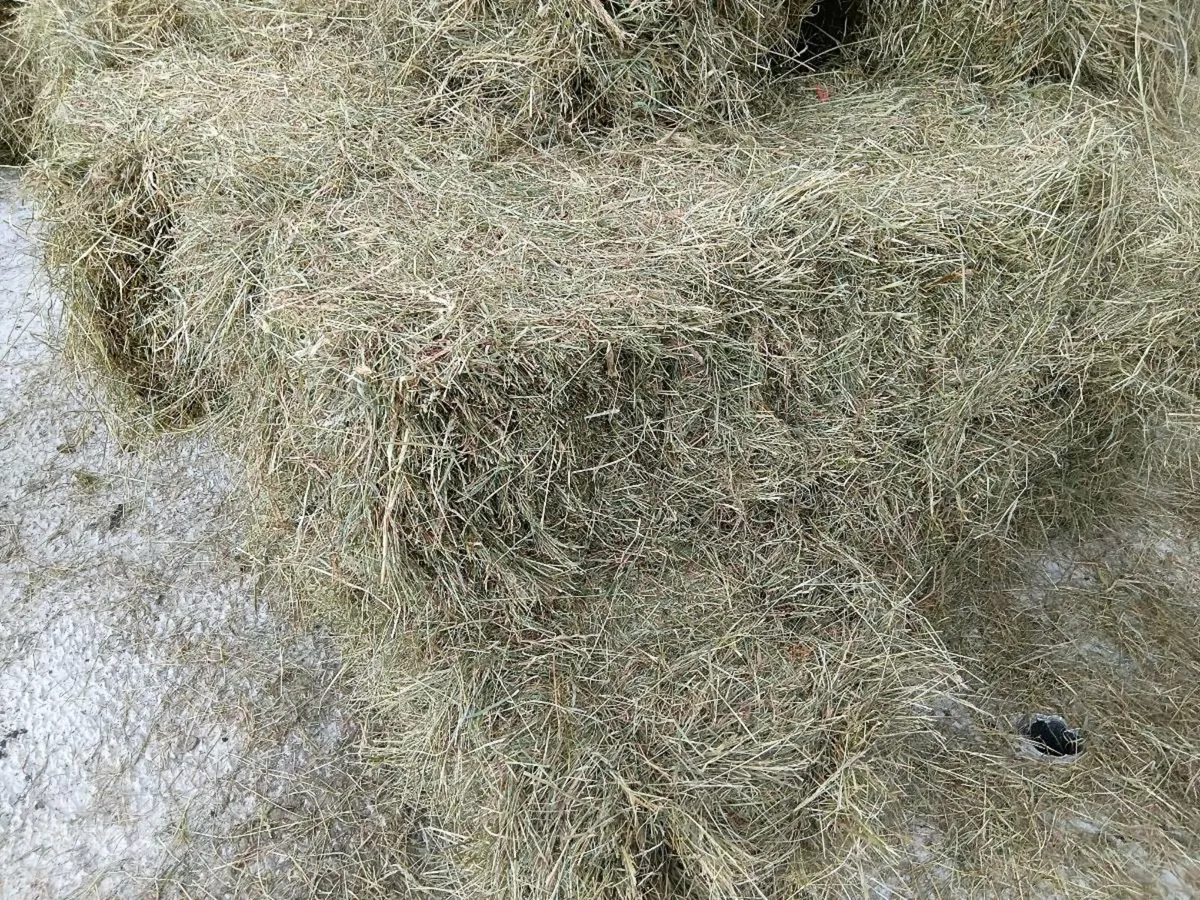 Square Hay Bales - Image 2