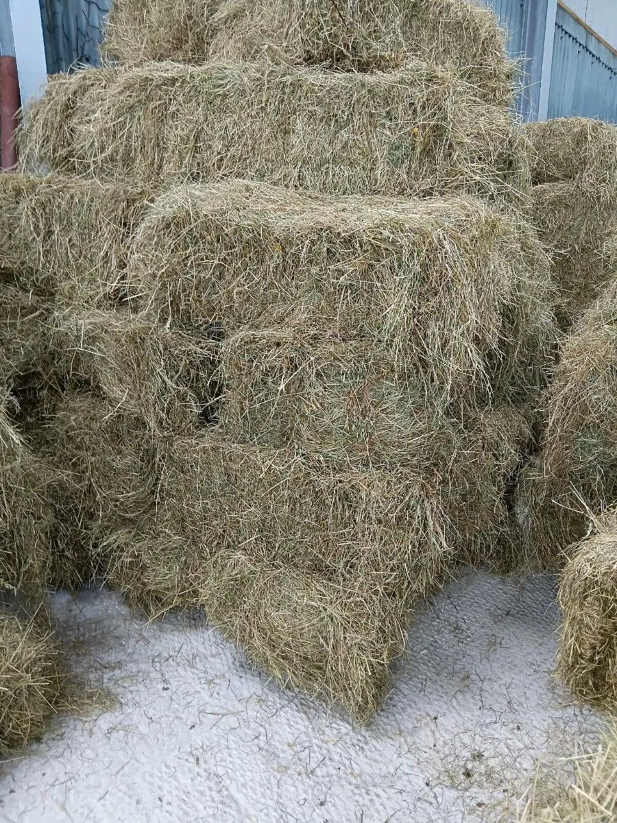 Square Hay Bales - Image 3