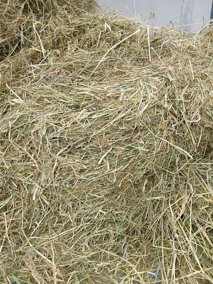 Square Hay Bales - Image 1