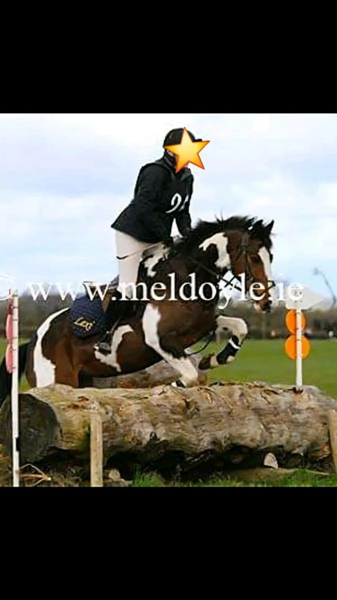 All rounder - Image 3