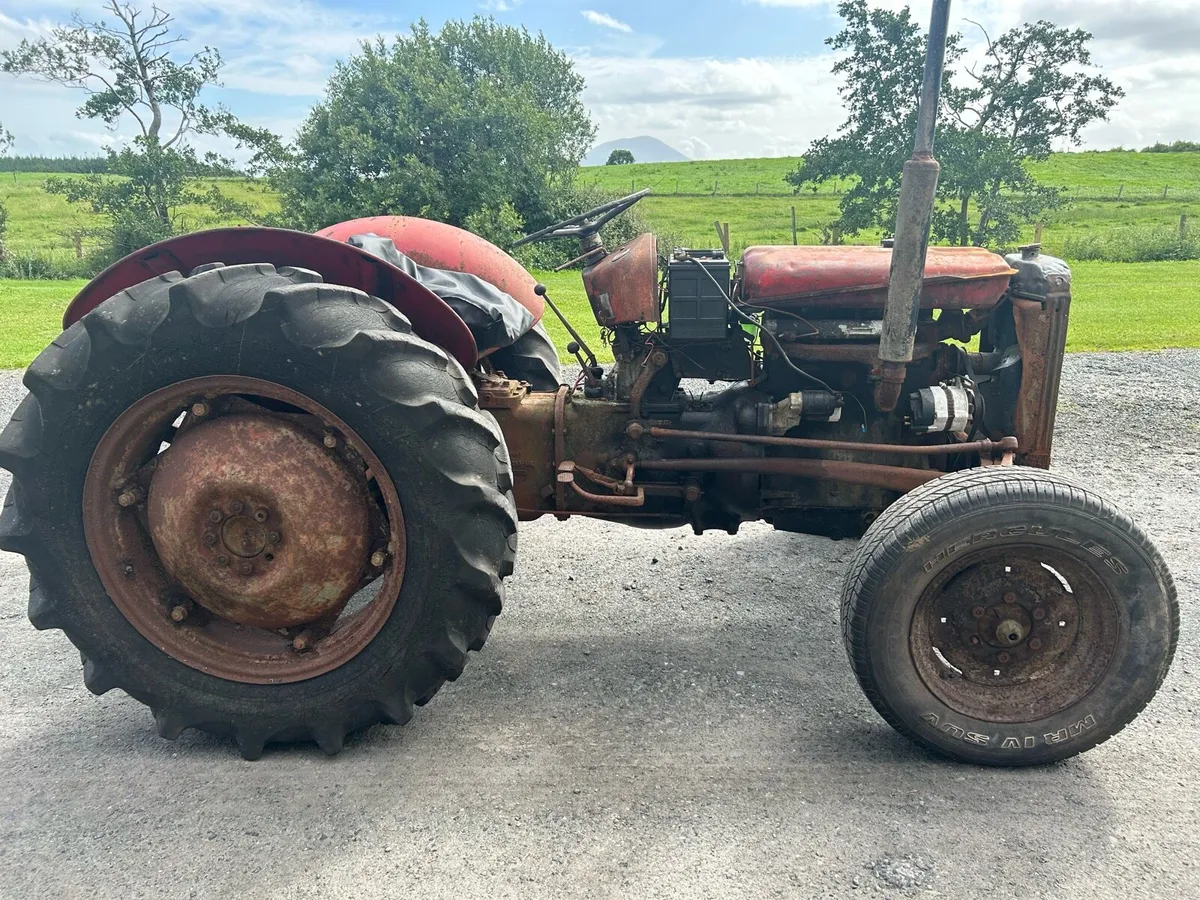 Massey Ferguson FE35 4 Cylinder - Image 1