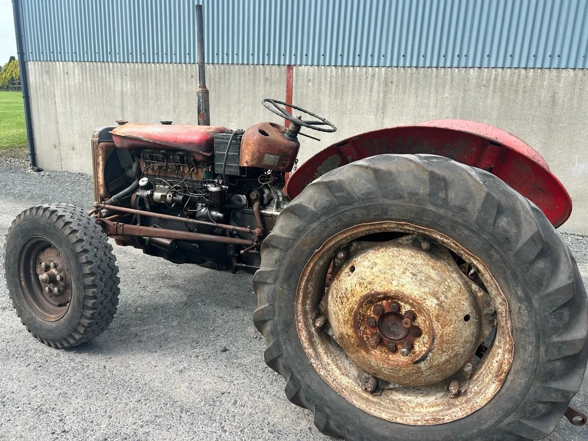 Massey Ferguson FE35 4 Cylinder - Image 2