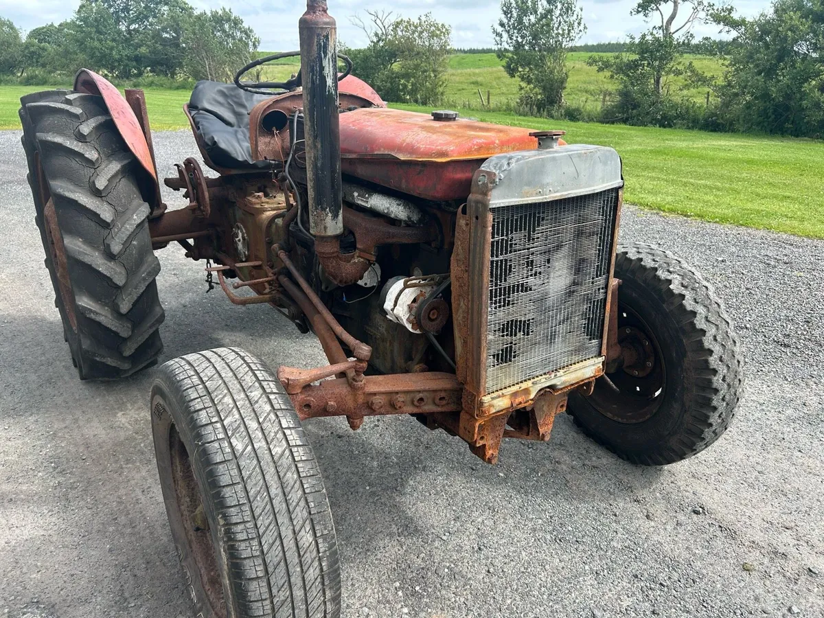 Massey Ferguson FE35 4 Cylinder - Image 3