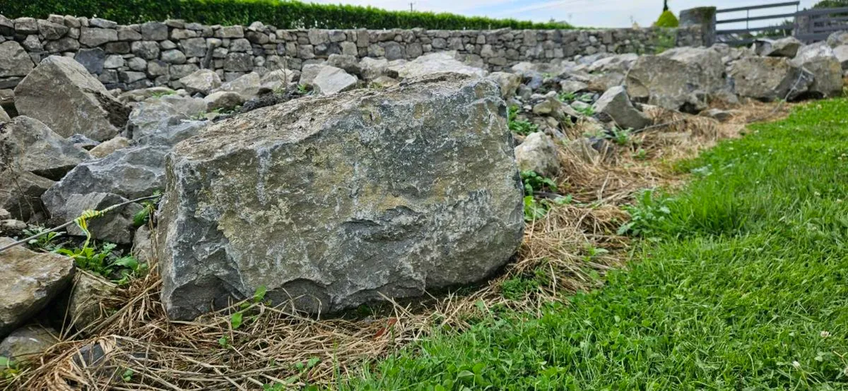 Field Stone - Image 3