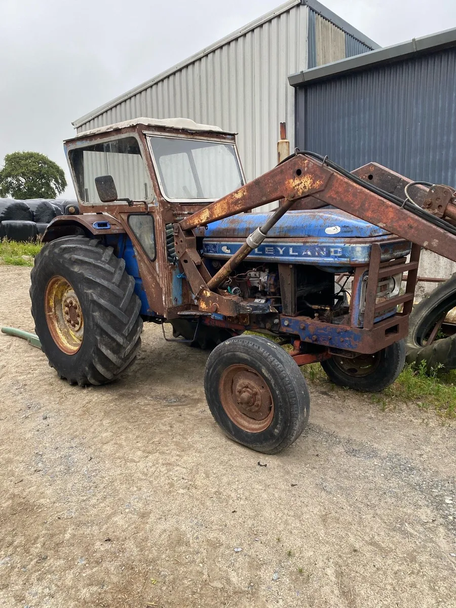 Leyland 384 - Image 1