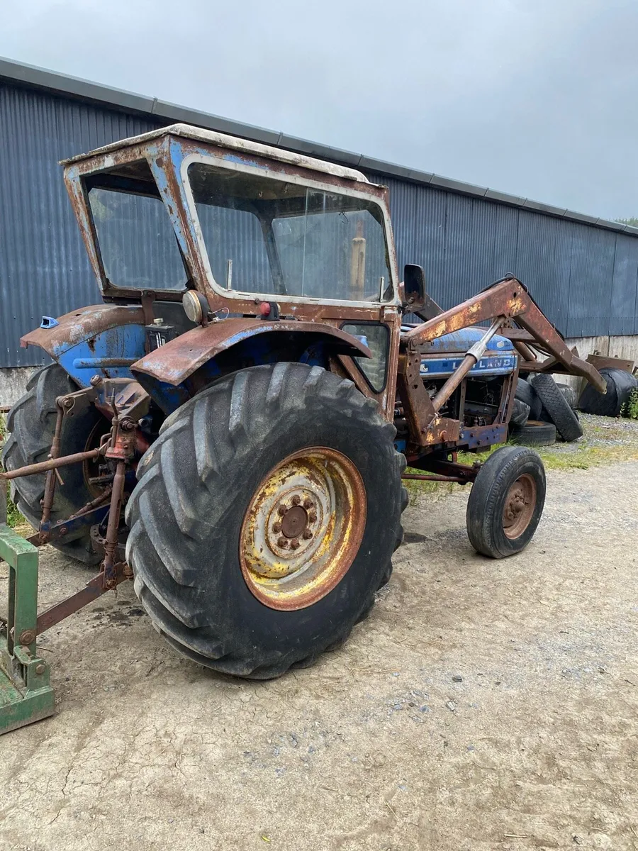 Leyland 384 - Image 2