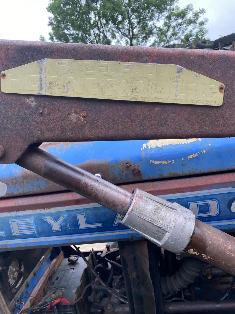 Leyland 384 - Image 3