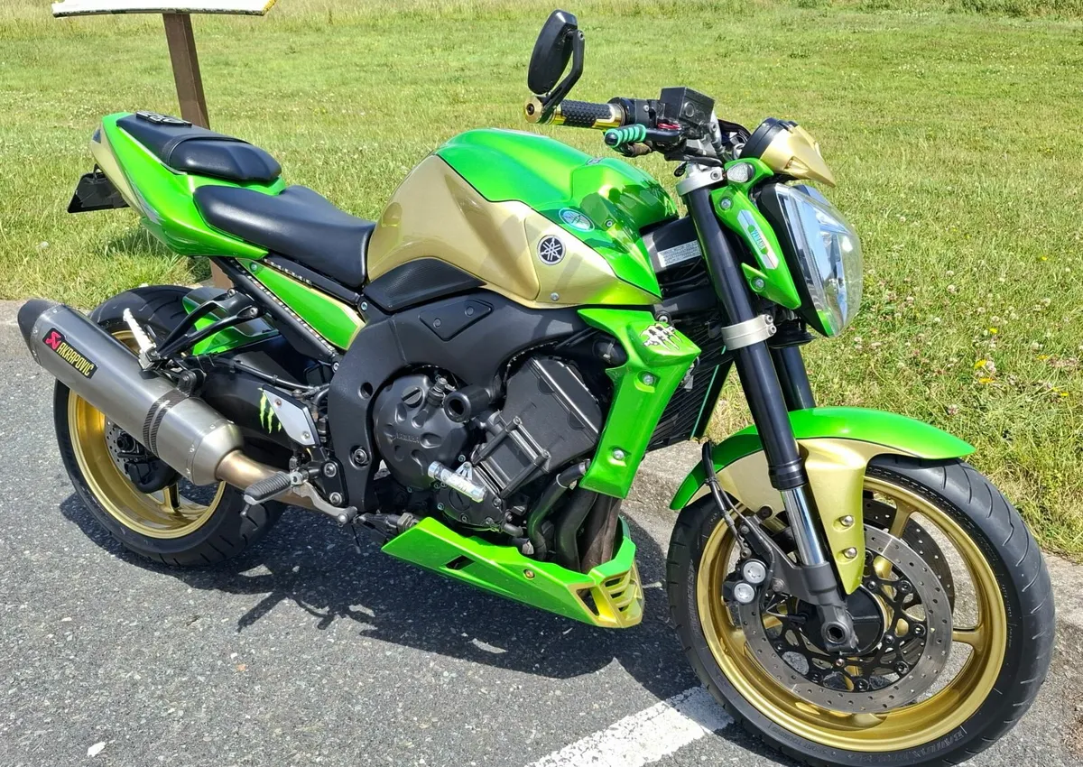 YAMAHA Fazer Fz1000 2010 - Image 1