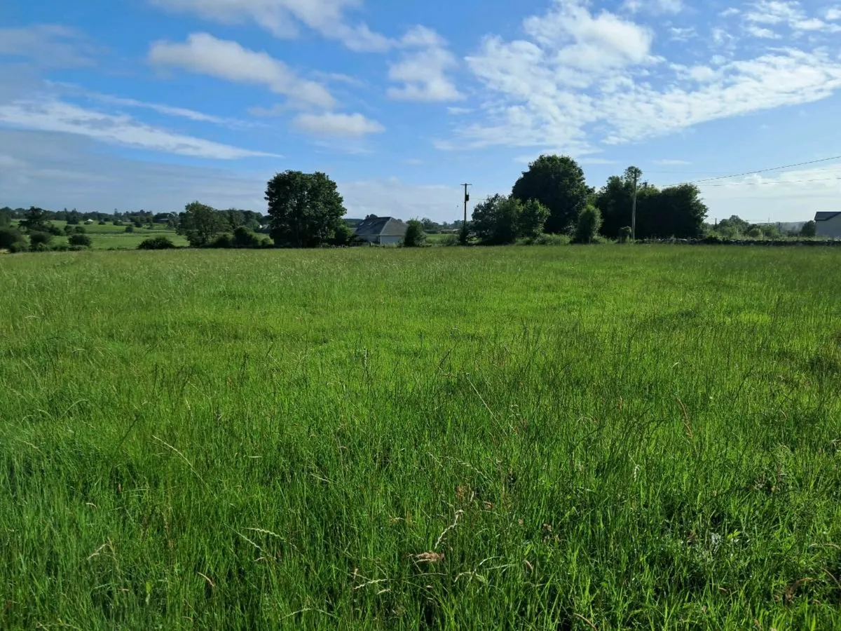 Top quality baled silage for sale - Image 1