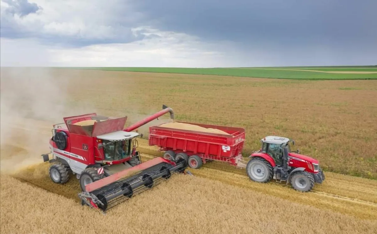 Exp Tractor Driver Farm Worker, Looking for Work