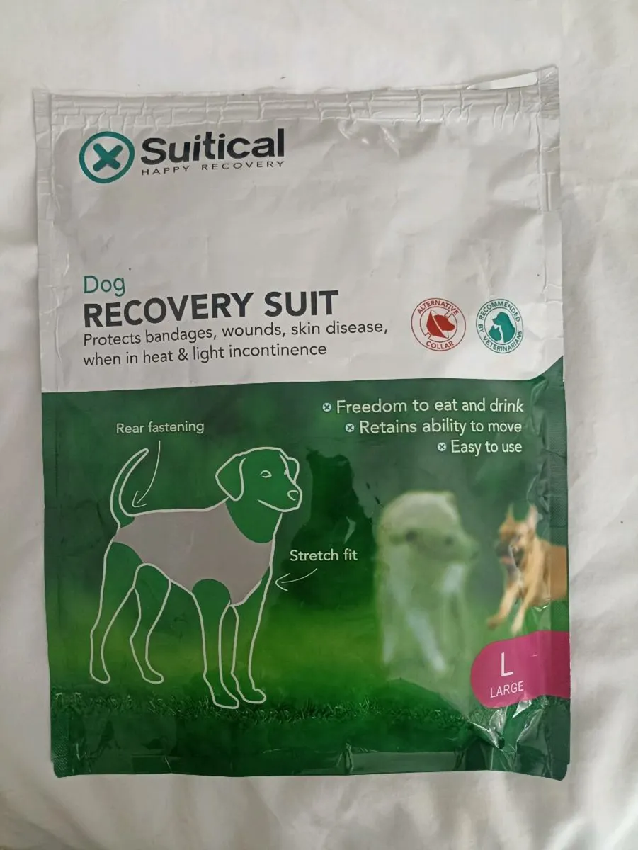 Dog recovery suit