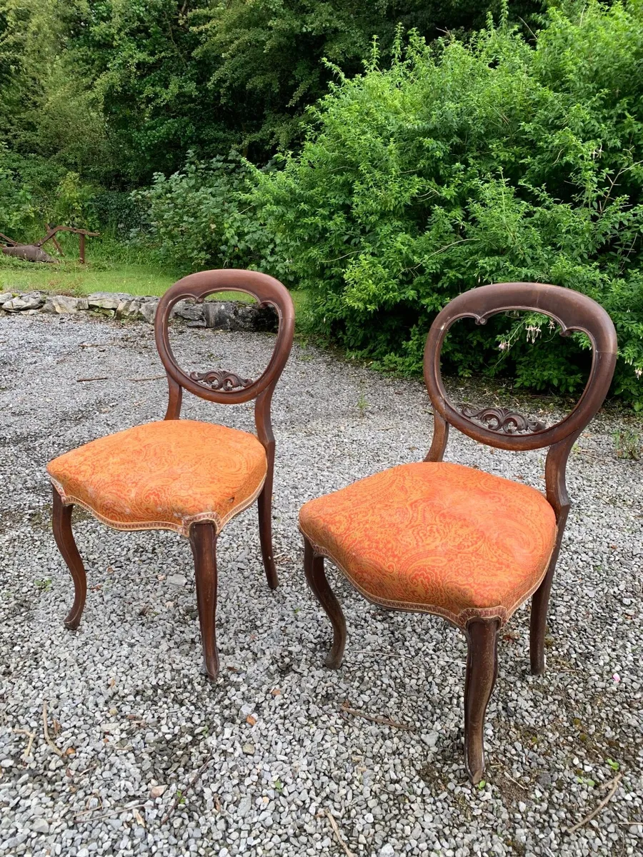 Antique chairs - Image 1