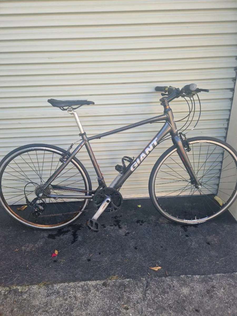Giant allroad sport size medium - Image 1