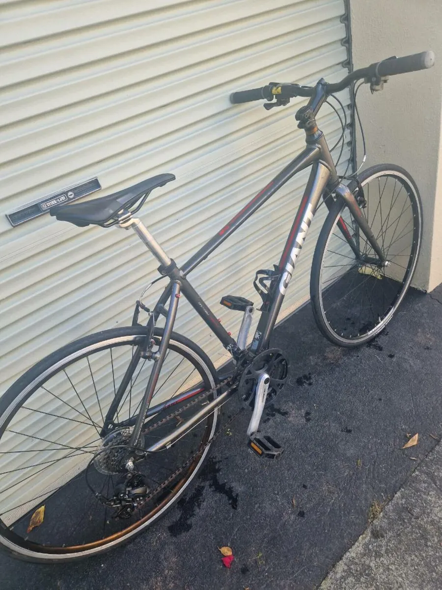 Giant allroad sport size medium - Image 2
