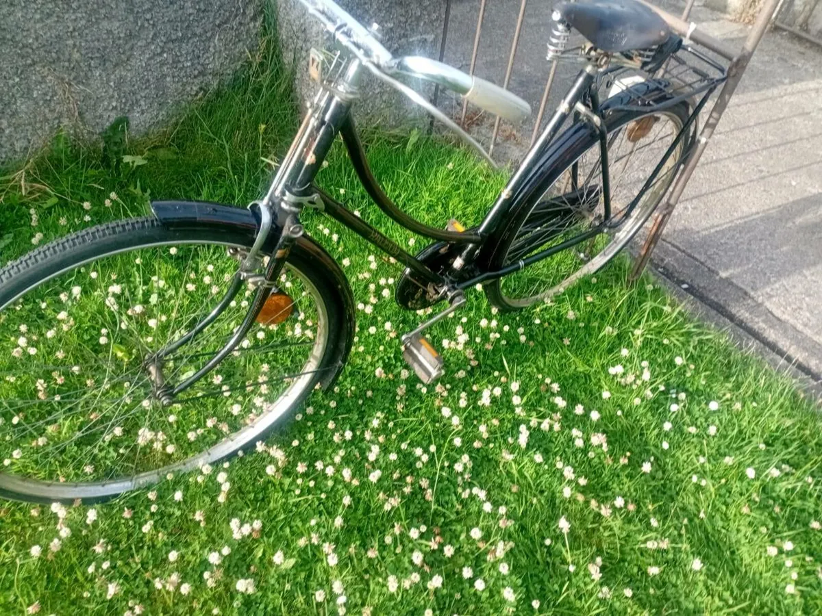 Adults bike - Image 1