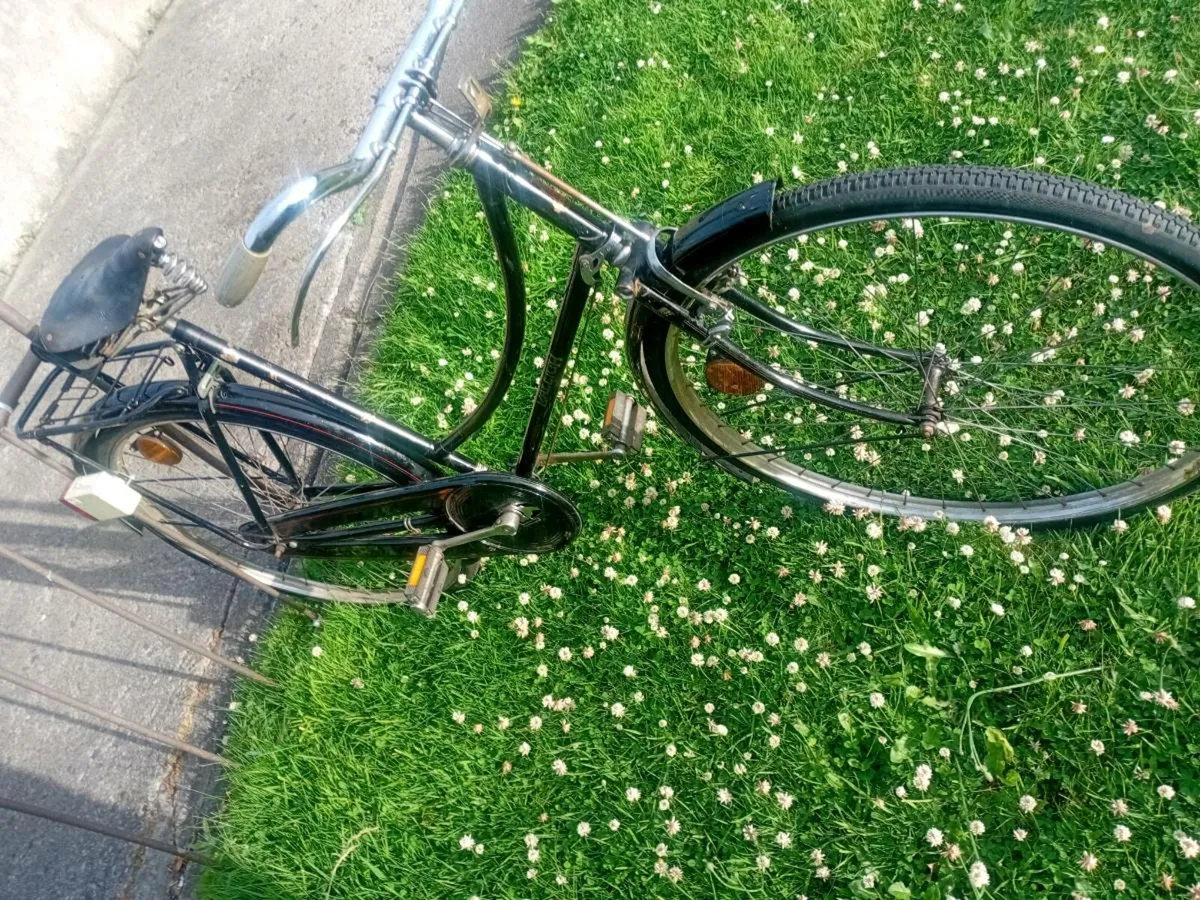 Adults bike - Image 2