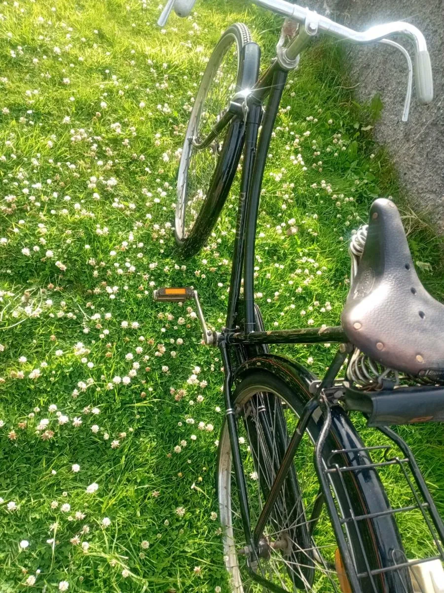 Adults bike - Image 3