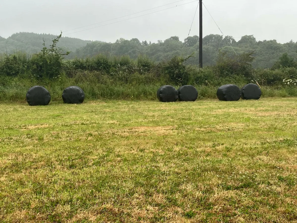 Silage bales - Image 1