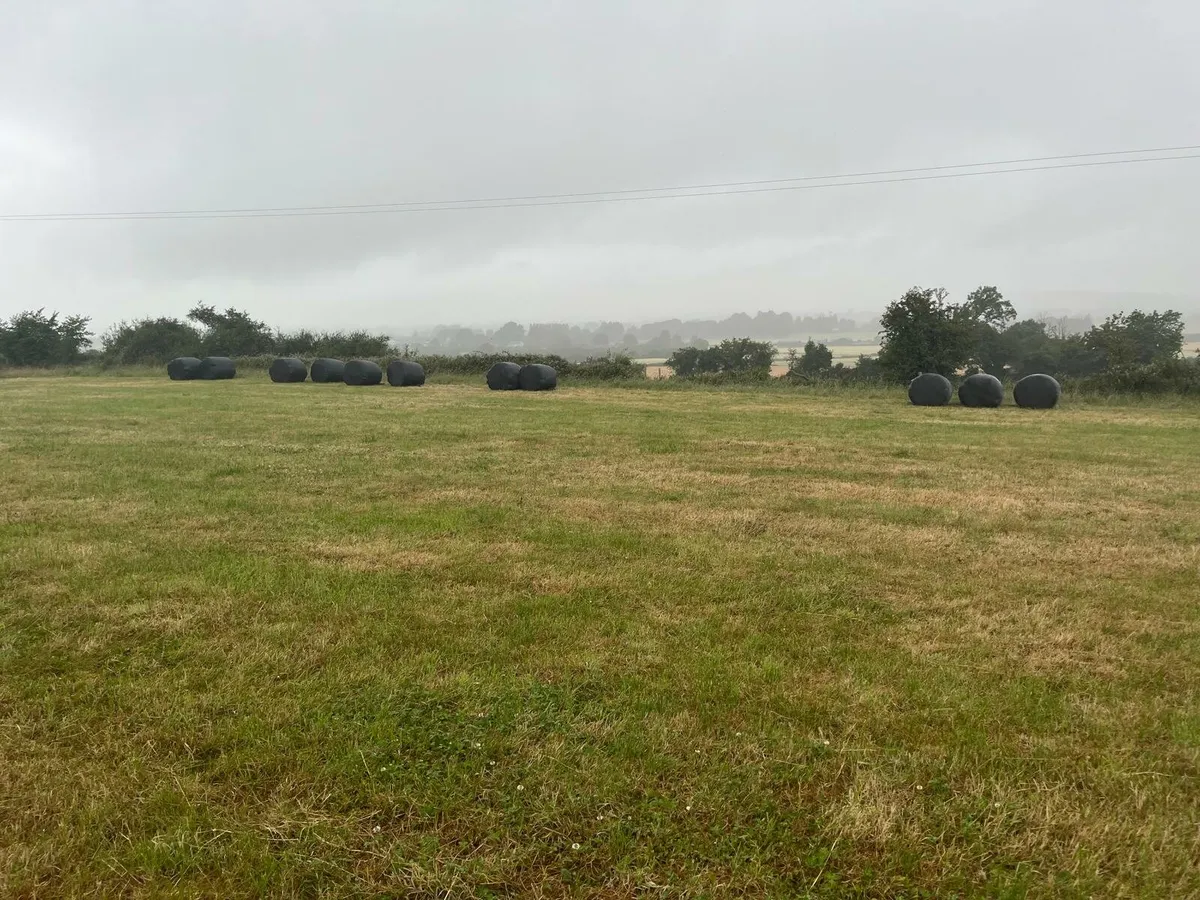 Silage bales - Image 2