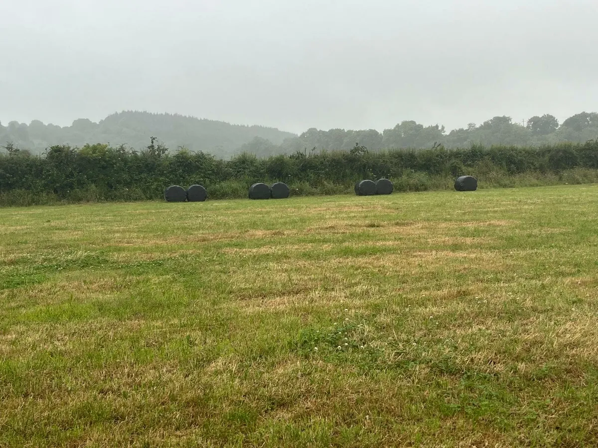 Silage bales - Image 3