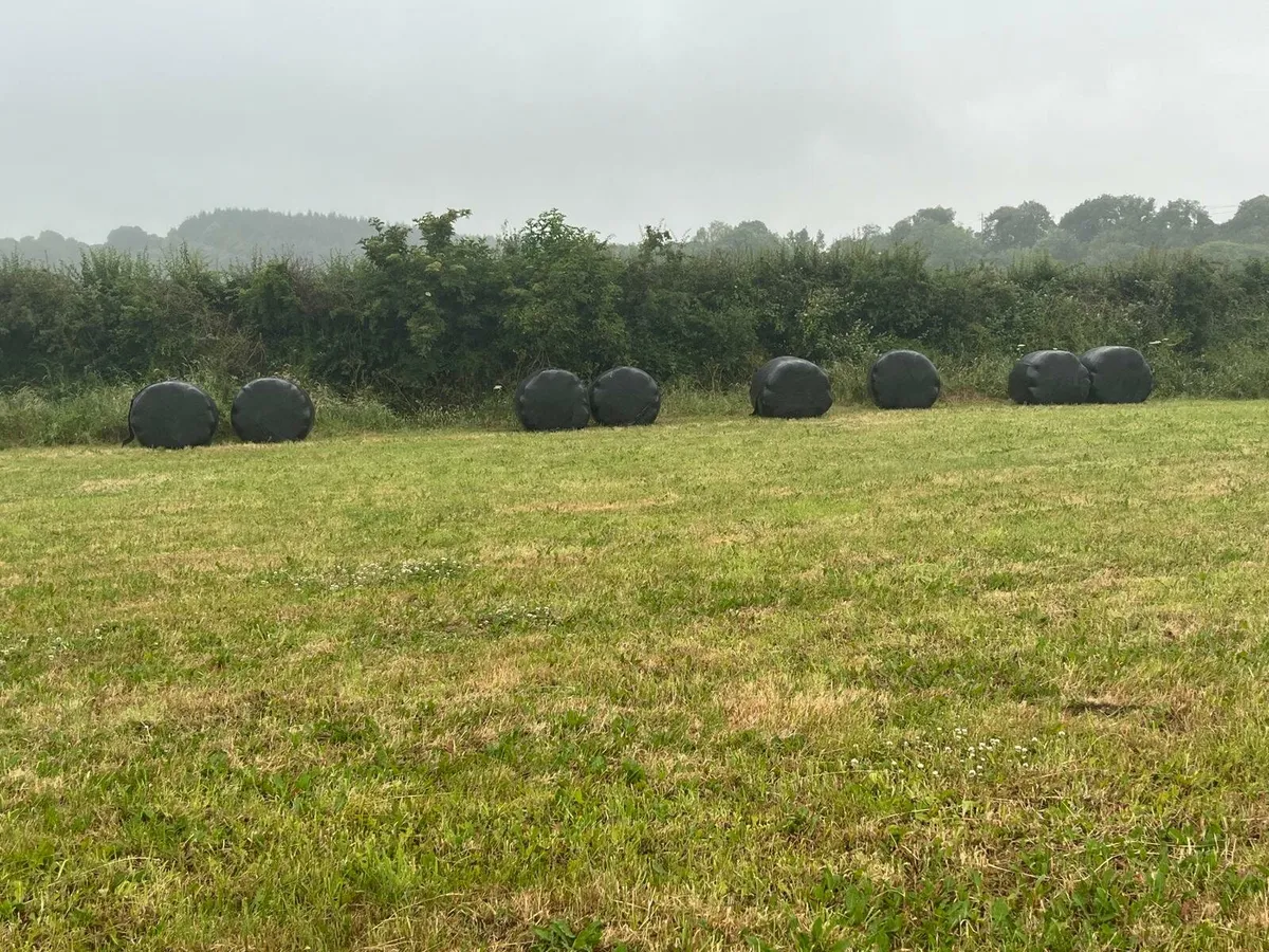 Silage bales - Image 4